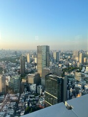 Tokyo city skyline at sunset from high vantage point, modern skyscrapers and urban landscape under clear blue sky, panoramic view of Japan’s bustling metropolis