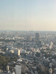 Tokyo city skyline at sunset from high vantage point, modern skyscrapers and urban landscape under clear blue sky, panoramic view of Japan’s bustling metropolis