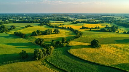 Obraz premium Aerial View of Farmland with Yellow and Green Fields on a Sunny Day in Summer