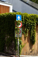 Overgrown street signs