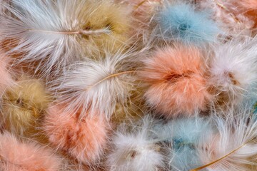 A close-up view of colorful feathers.