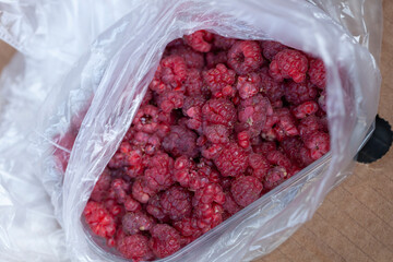Raspberries in plastic bag