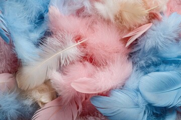 A vibrant assortment of pastel-colored feathers.