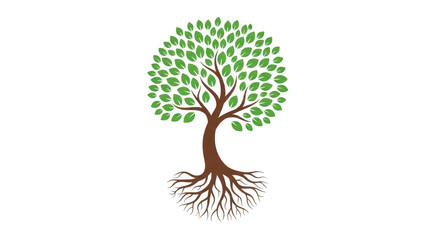 Fototapeta premium Tree with leaves and roots isolated on transparent background