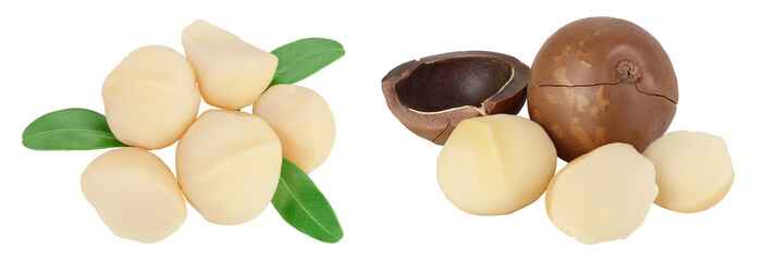 macadamia nuts isolated on white background with  full depth of field. Top view. Flat lay.