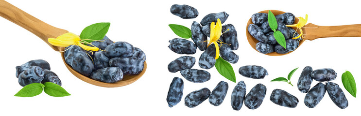 Fresh honeysuckle blue berry isolated on white background. Top view with copy space for your text. . Flat lay.