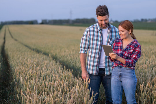 In a field female farmer showing man progress on cultivation