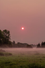 Red-hued sunrise over misty forest