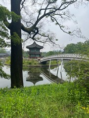 Tranquil view of Gyeonghoeru Pavilion in Gyeongbokgung Palace, Seoul, reflected in a peaceful pond with arched bridge and lush green trees in the background