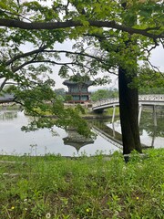 Tranquil view of Gyeonghoeru Pavilion in Gyeongbokgung Palace, Seoul, reflected in a peaceful pond with arched bridge and lush green trees in the background