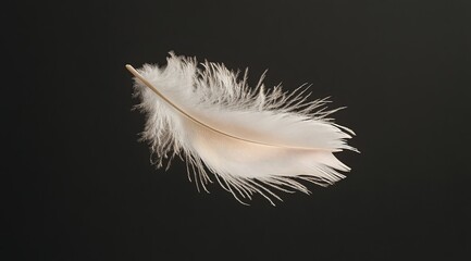 Obraz premium A feather floating in the air, with its shadow cast on a black background