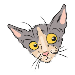 Surprised kitten with yellow eyes. Portrait of domestic kitty. Vector cute pet with individual character and emotion. Adorable cat on a white background. For stickers, textiles and scrapbook.