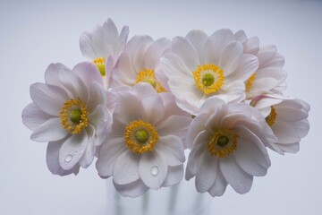 Obraz premium Delicate pale pink flowers with yellow centers in a soft light