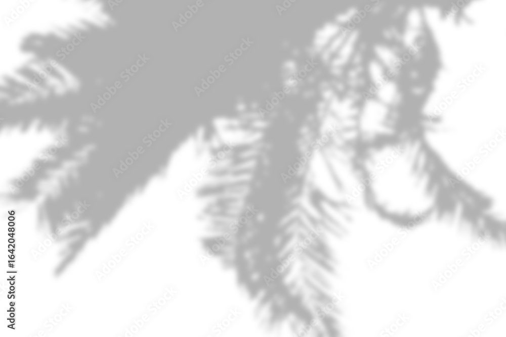 Poster overlapping tree branch shadows on a light surface, enhancing the natural ambiance.