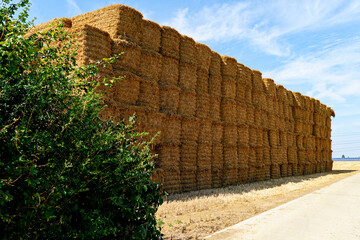 Large stack of hay bales