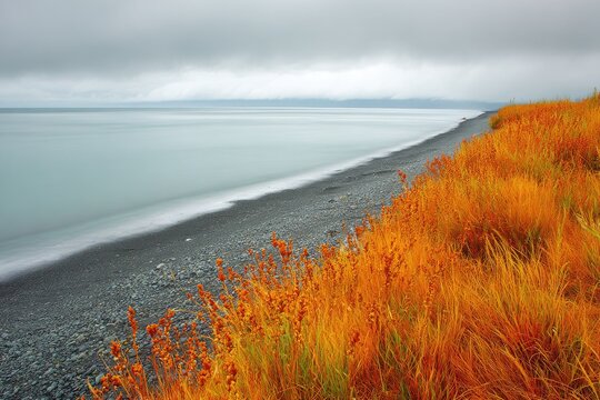 Coastal landscape with vibrant orange-toned grasses along a dark pebble beach.