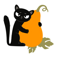 Cute Black Cat With Orange big Pumpkin. Autumn Funny Pet character on White Background. Vector illustration. Not AI