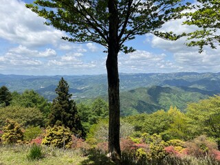 Scenic mountain landscape with lush green forest, colorful foliage, and distant blue hills under a bright sky with fluffy clouds on a beautiful spring day