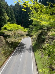 Scenic winding road through lush green forest in Japan, peaceful nature drive surrounded by trees and stone walls on a clear spring day