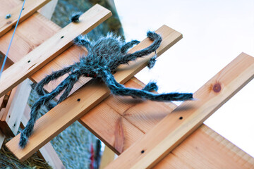 Large Black Hairy Spider Perched on Wooden Fence in Wild Nature Environment