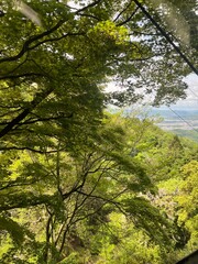Mountain Cable Car View — Scenic Forest Hillside and City Landscape Under Cloudy Sky in Japan