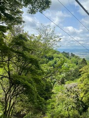 Mountain Cable Car View — Scenic Forest Hillside and City Landscape Under Cloudy Sky in Japan