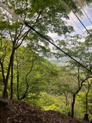 Mountain Cable Car View — Scenic Forest Hillside and City Landscape Under Cloudy Sky in Japan
