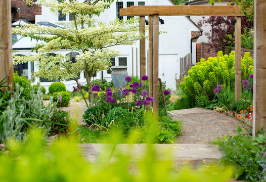 Back garden in early spring