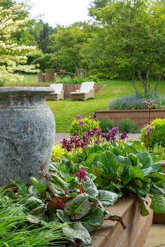 Landscaped English garden