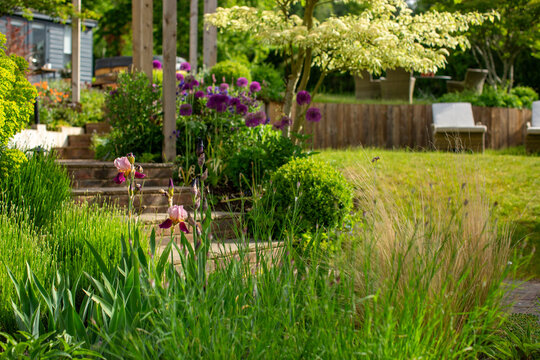 Back garden in early spring with lush planting