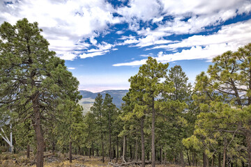 The view from atop the mountain at the Apache Point Observatory is an astronomical observatory...