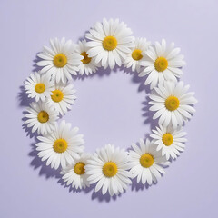 Obraz premium Delicate Daisies Arrange on a Pastel Background
