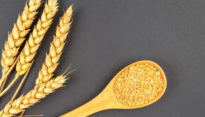Wheat ears and grains in wooden spoon on dark surface