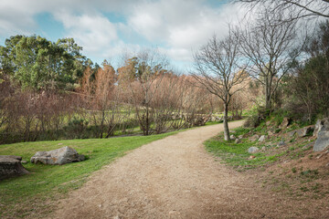 I walk through a park, sunny day and autumn trees.
