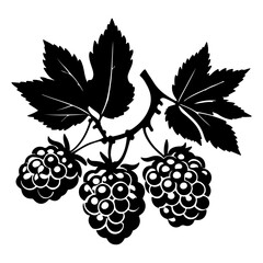 Obraz premium Elegant black and white illustration of ripe raspberries with detailed leaves