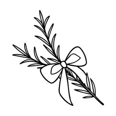 rosemary sprig with bow vector illustration on white background 