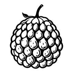 Vector Illustration of a Black and White Bramble Fruit with Stylized Design