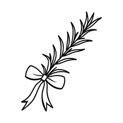 rosemary sprig with bow vector illustration on white background 