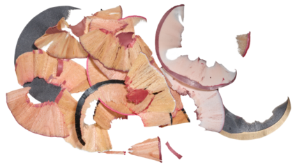 Multicolored wooden shavings from pencils on isolated background