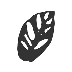 Isolated black silhouette of leaf of monstera adanson on white background.