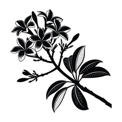 Black and white illustration of a blooming gardenia flower branch with leaves blossom