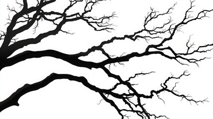 Obraz premium Silhouette of tree branches isolated on white, vector forest element. 