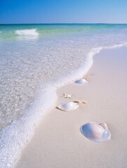 Clear seafoam washing over seashells on sandy beach shore  