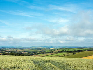 fields and meadows in south cornwall under blue sky