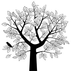 Drawing of tree crown with branches and leaves and  bird in black and white vintage linear and engraving style isolated on white. Vector illustration