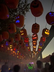 Glowing carved jack-o’-lanterns hanging in rows at dusk, creating a spooky and festive Halloween atmosphere under the night sky