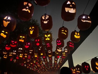 Glowing carved jack-o’-lanterns hanging in rows at dusk, creating a spooky and festive Halloween atmosphere under the night sky