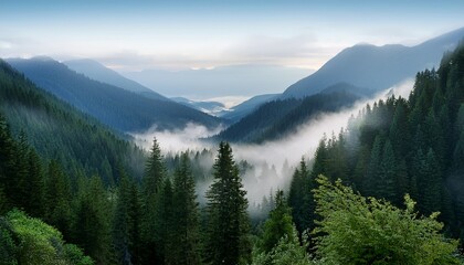 Obraz premium behold a captivating tableau of a mountain landscape shrouded in an ethereal mist where a dense forest at its base unveils tranquil and mystical beauty of nature