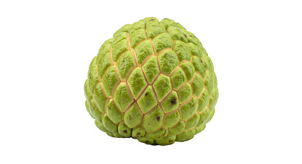 Fototapeta premium Green custard apple with detail texture sits against black for product photography, branding, or posters.
