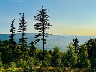 The Opawskie Mountains, the beginning of the Sudetes. Beautiful view of the eastern part of the...